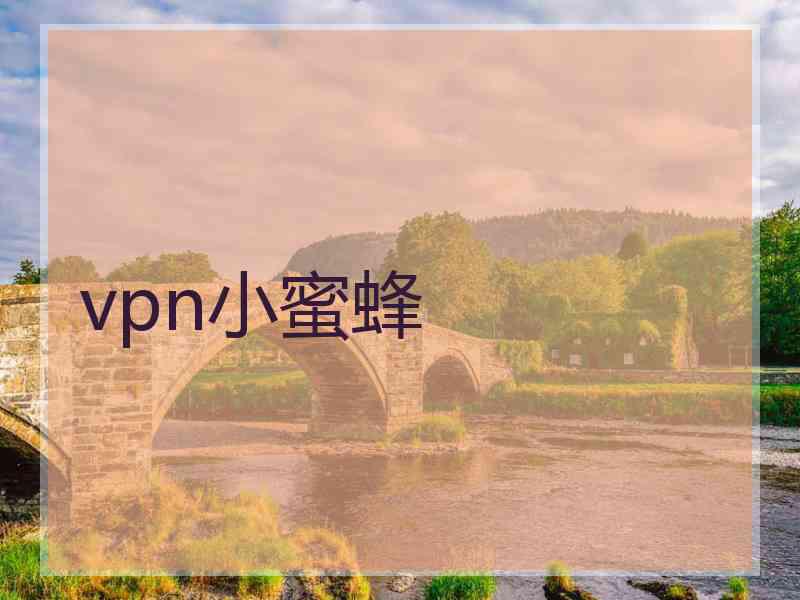 vpn小蜜蜂